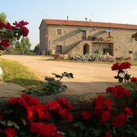 Agriturismo La Valentina Nuova Villa Talamone Kültér fotó