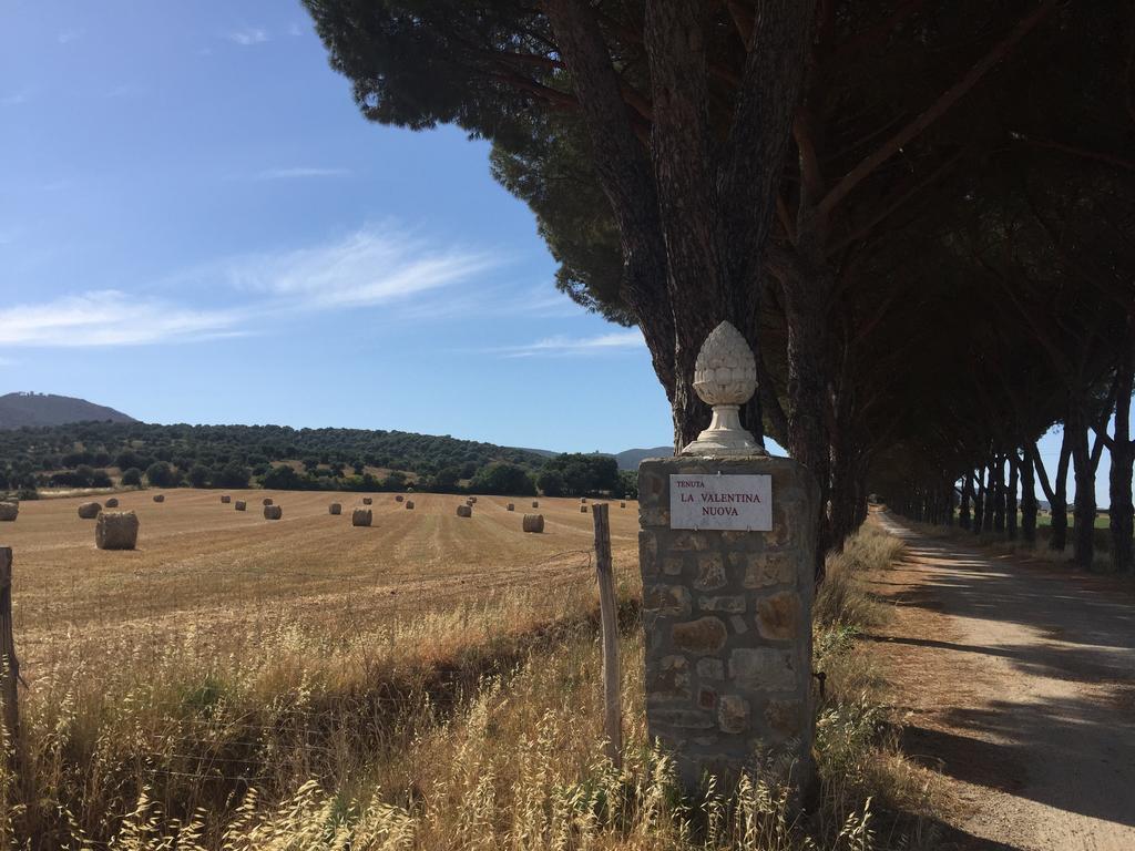 Agriturismo La Valentina Nuova Villa Talamone Kültér fotó