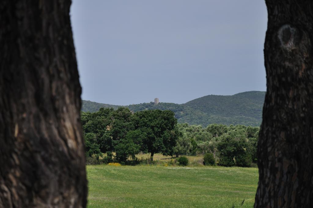 Agriturismo La Valentina Nuova Villa Talamone Kültér fotó