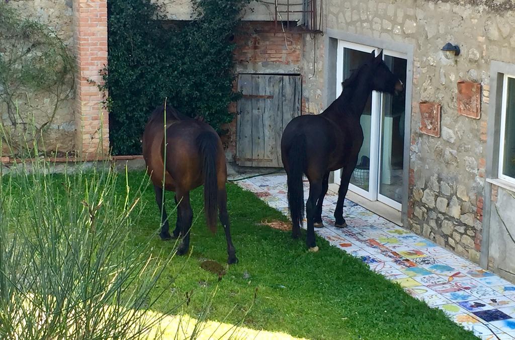 Agriturismo La Valentina Nuova Villa Talamone Kültér fotó