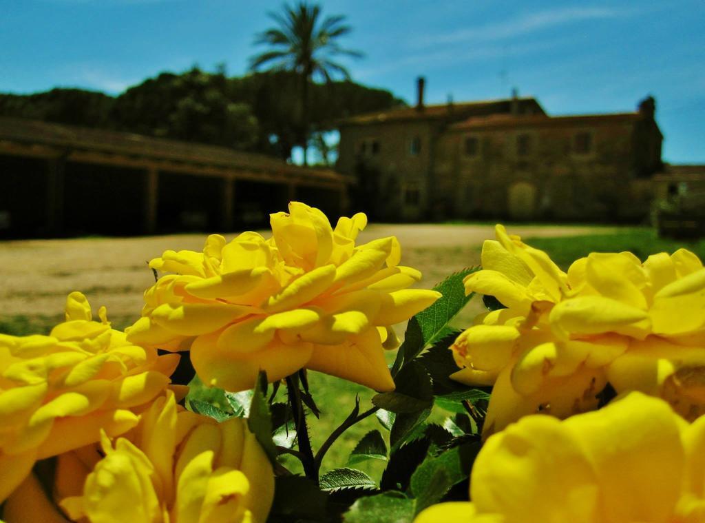 Agriturismo La Valentina Nuova Villa Talamone Kültér fotó