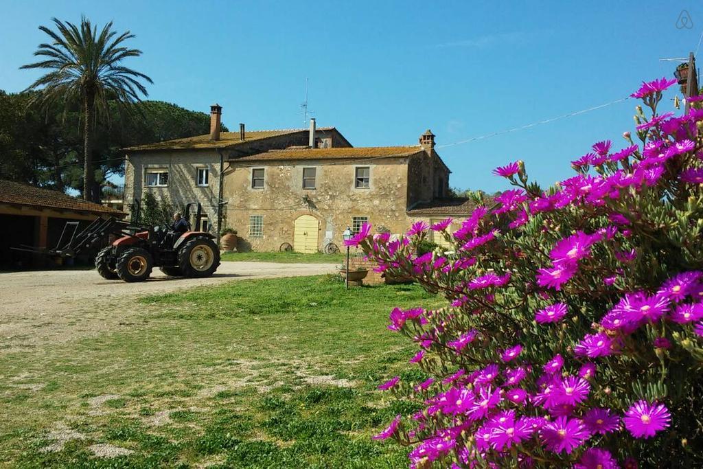 Agriturismo La Valentina Nuova Villa Talamone Kültér fotó