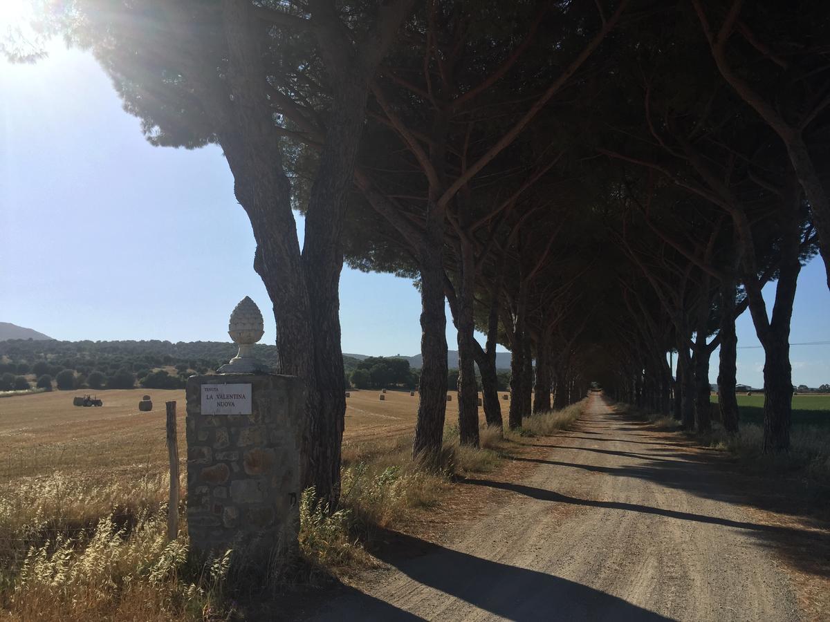 Agriturismo La Valentina Nuova Villa Talamone Kültér fotó