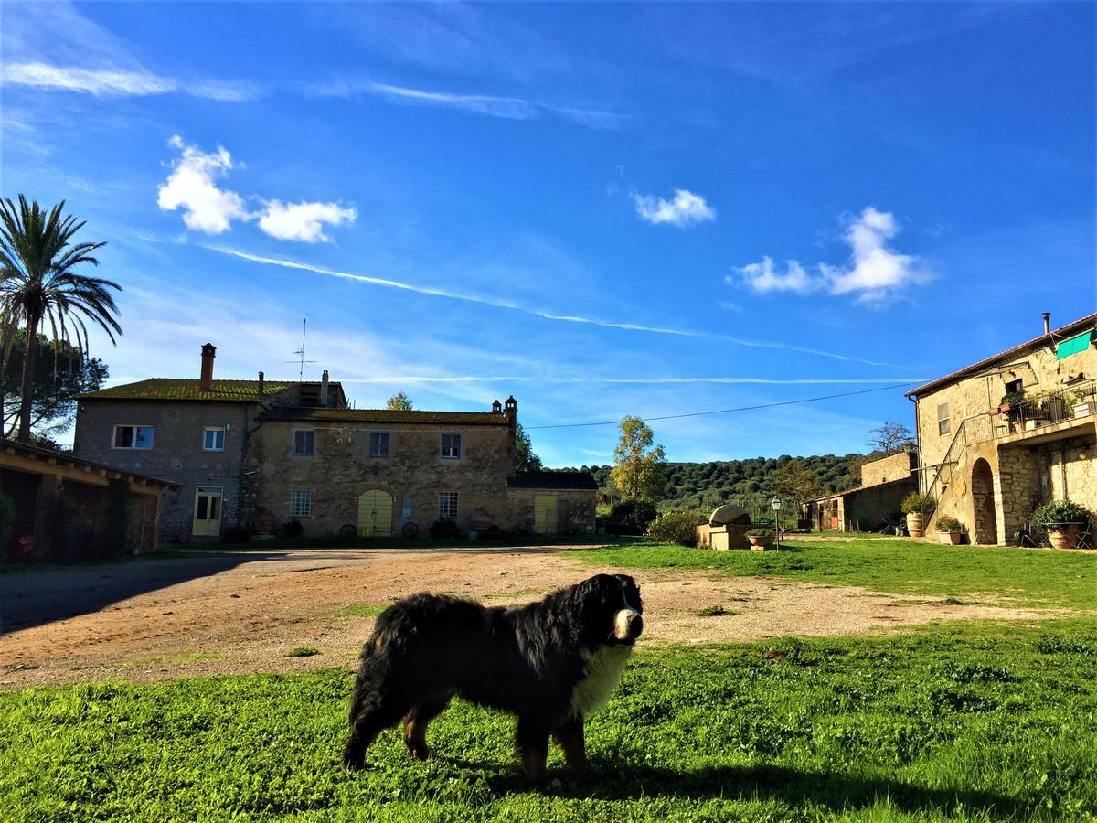 Agriturismo La Valentina Nuova Villa Talamone Kültér fotó