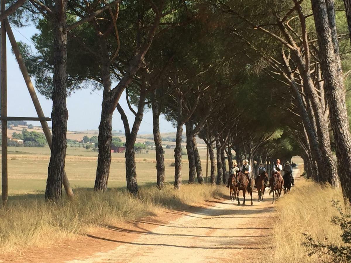 Agriturismo La Valentina Nuova Villa Talamone Kültér fotó